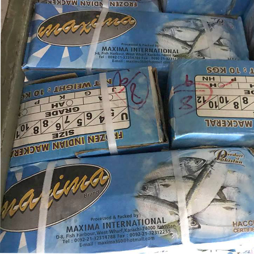 ปลาทู ปากี ยี่ห้อ Maxima brand
